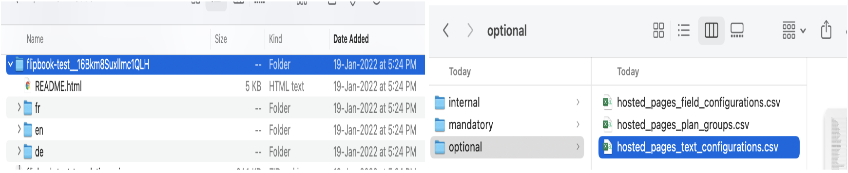 hosted_pages_text_configurations.csv in Optional folder