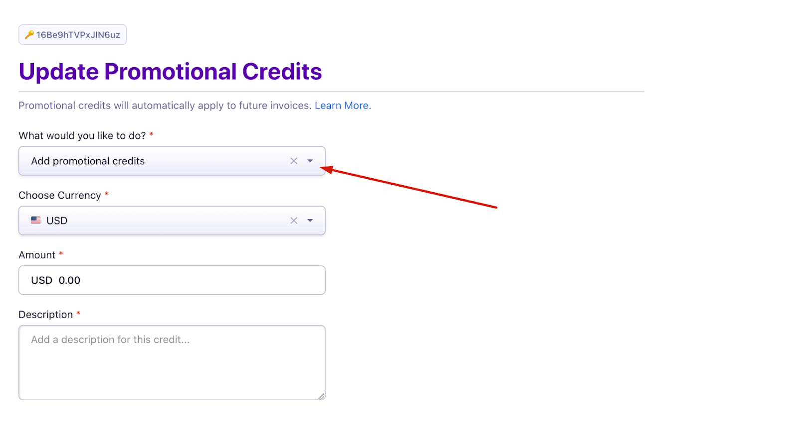Promotional credit amount and description fields